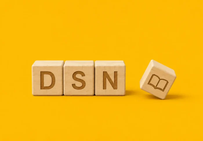 Illustration de cubes en bois sur lesquels figurent les lettres DSN