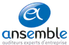 Logo Ansemble Développement, cabinet d'audit et expertise comptable partenaire Silae – solution paie et RH