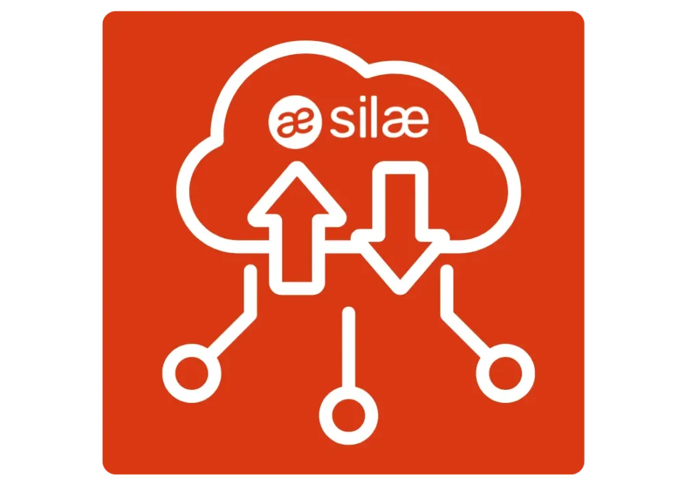 Pictogramme d'intégration API Silae avec icône de nuage, logo Silae et flèches de synchronisation.
