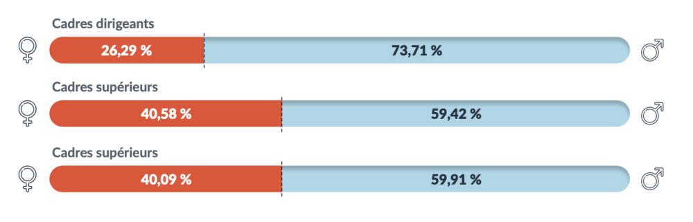 Diagrammes sur les pourcentages d'augmentations salariales par statut