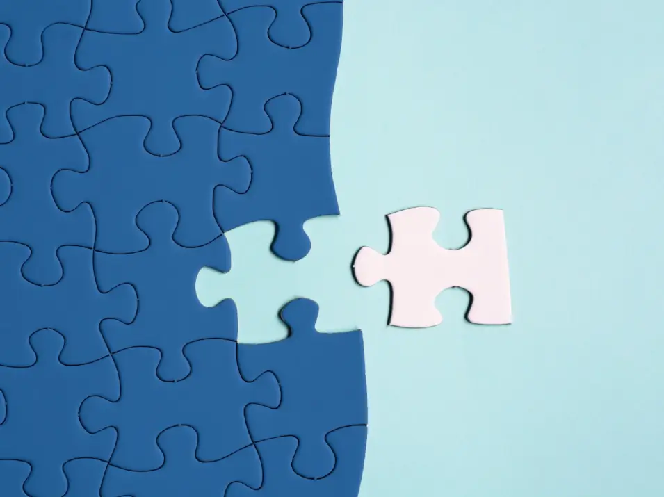 Illustration de pièces de puzzle évoquant une gestion fragmentée qui tend à se réunifier.